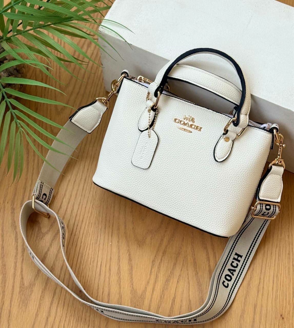 Coach Mini Nolita Satchel