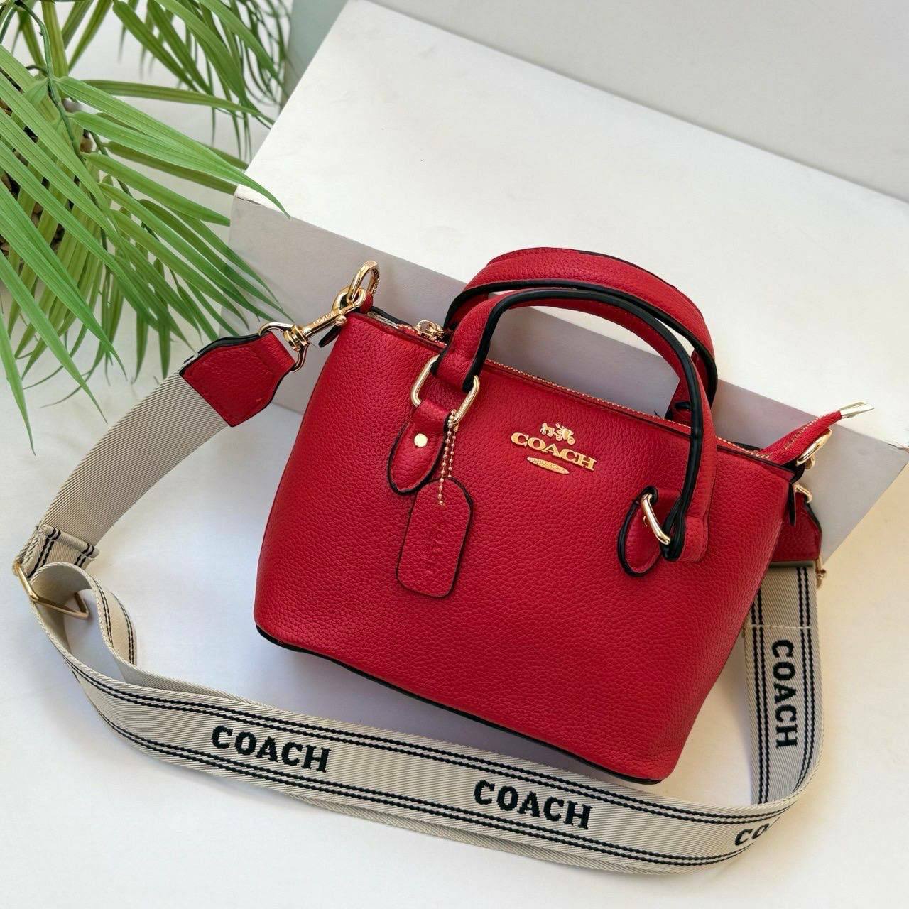 Coach Mini Nolita Satchel