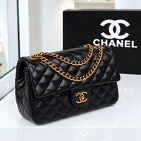 Chanel Quilted Flap Bag with Gold-Tone Chain